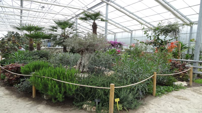 Университетска ботаническа градина poster