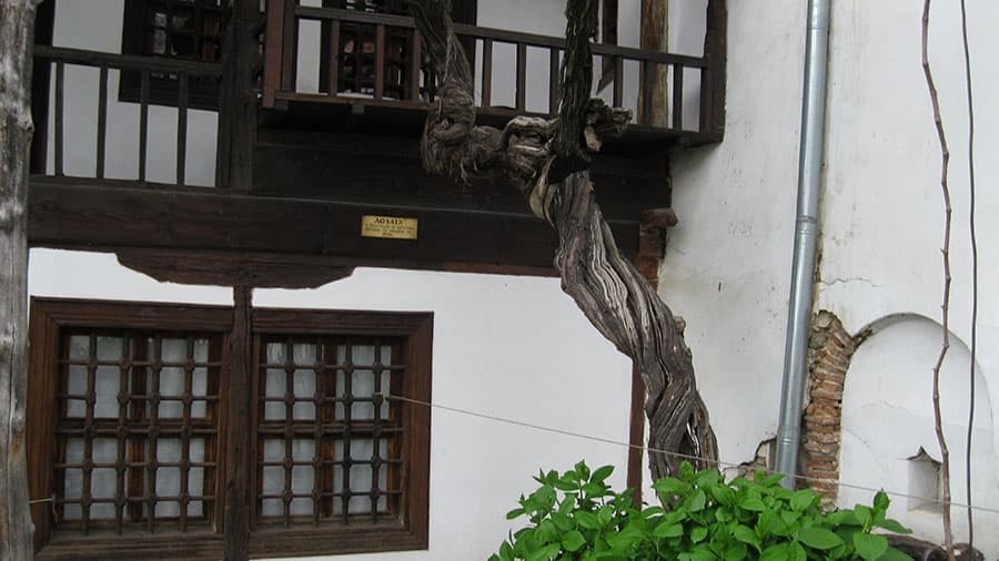 Женски метох poster