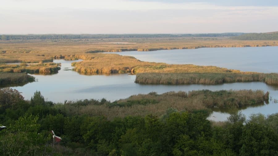 Природонаучен музей при биосферен резерват „Сребърна“ poster