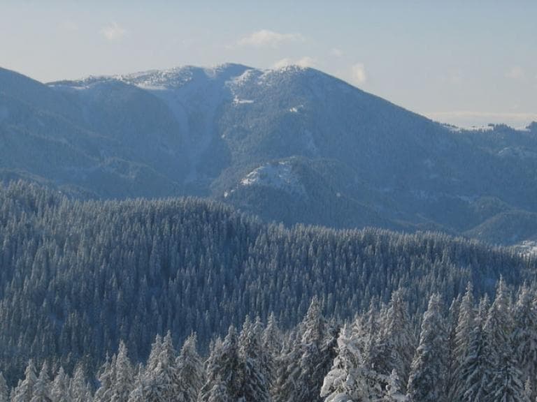 Връх Голям Перелик poster